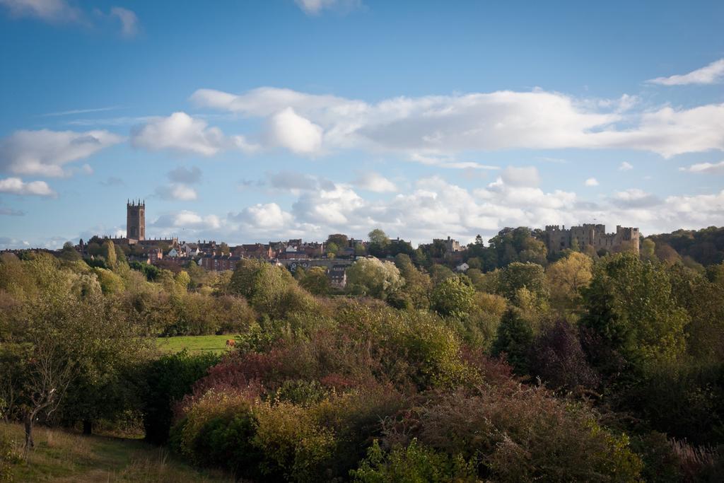 Whitfield House Ludlow Hotell Rum bild